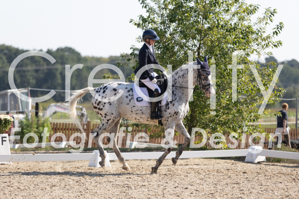 IMG_4643 | Creatify Fotografie