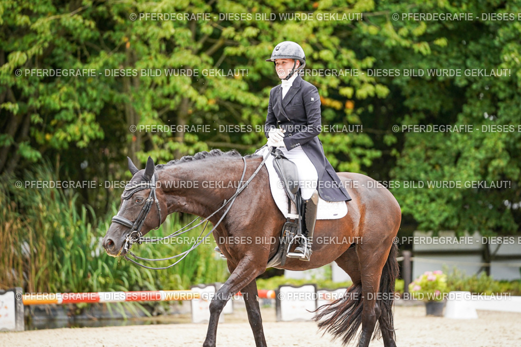 DSC07165 | Pferdegrafie