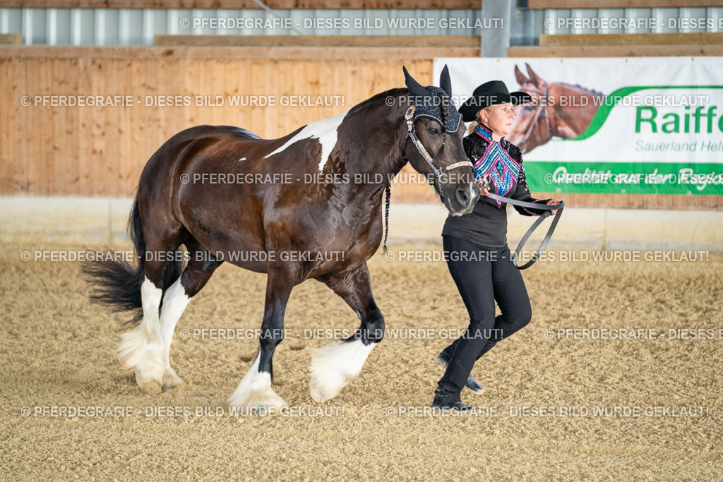 DSC07520 | Pferdegrafie