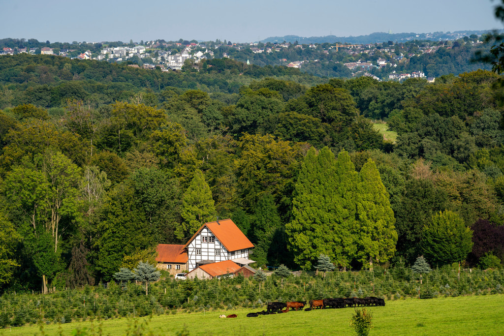 JT-210903 | Landschaft im Essener Süden, Stadtteil Schuir, Fachwerkhaus, am Wanderweg des Kettwiger Panoramasteig, an der Pierburg, Essen, NRW, Deutschland - Realisiert mit Pictrs.com