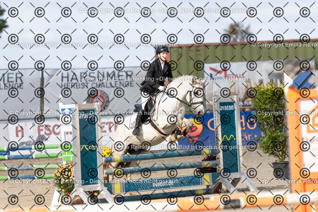 CL5A4144 | Emilia Reinking Fotografie - Realisiert mit Pictrs.com