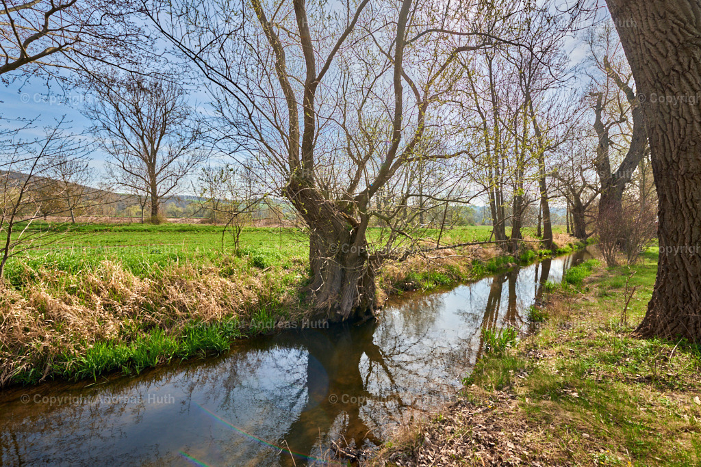 Der Elsterfloßgraben zwischen Ahlendorf und Trebnitz 04 | Bedeutsame Landschaften Deutschlands - Realisiert mit Pictrs.com