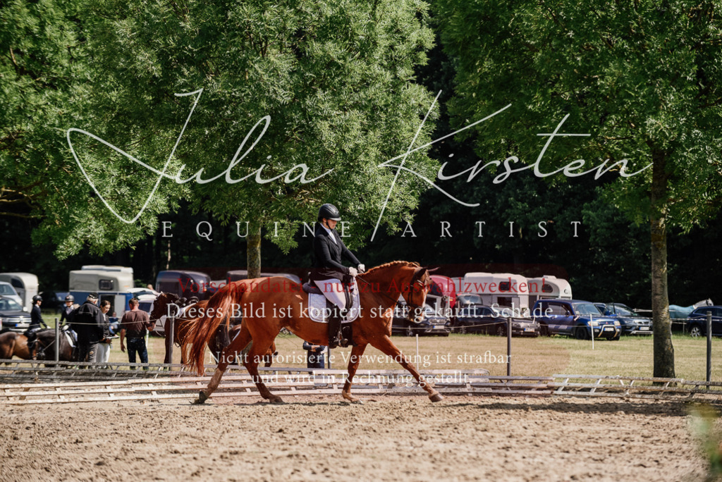 DSC_0330 | Pferde- und Turnierfotografie in Westsachsen. Pferdeportraits, Auftragszeichnungen und intuitive Kunst.