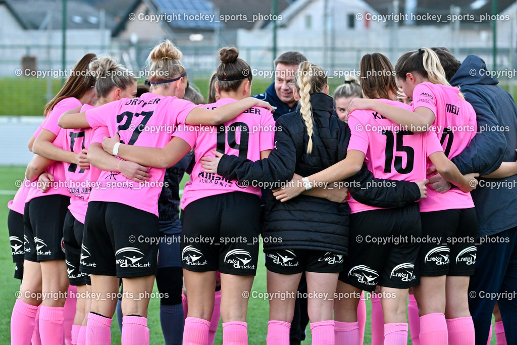 Liwodruck Carinthians Hornets vs. FK Austria Wien Frauen 19.11.2023 | Carinthians Hornets Mannschaft