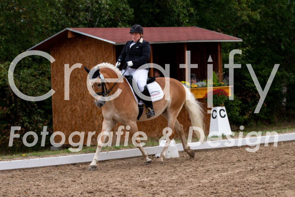 IMG_5811 | Creatify Fotografie