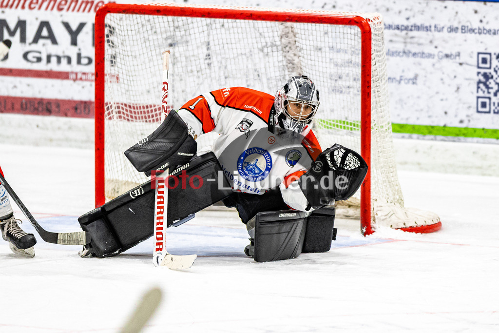 C1DX7805 | Shop für Sportfotografie, Bilddatenbank, Pressefotografie, Fußball, Eishockey, Aktionsfotos