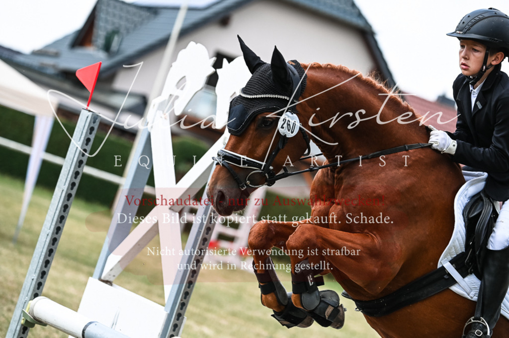 DSC_9074 | Pferde- und Turnierfotografie in Westsachsen. Pferdeportraits, Auftragszeichnungen und intuitive Kunst.