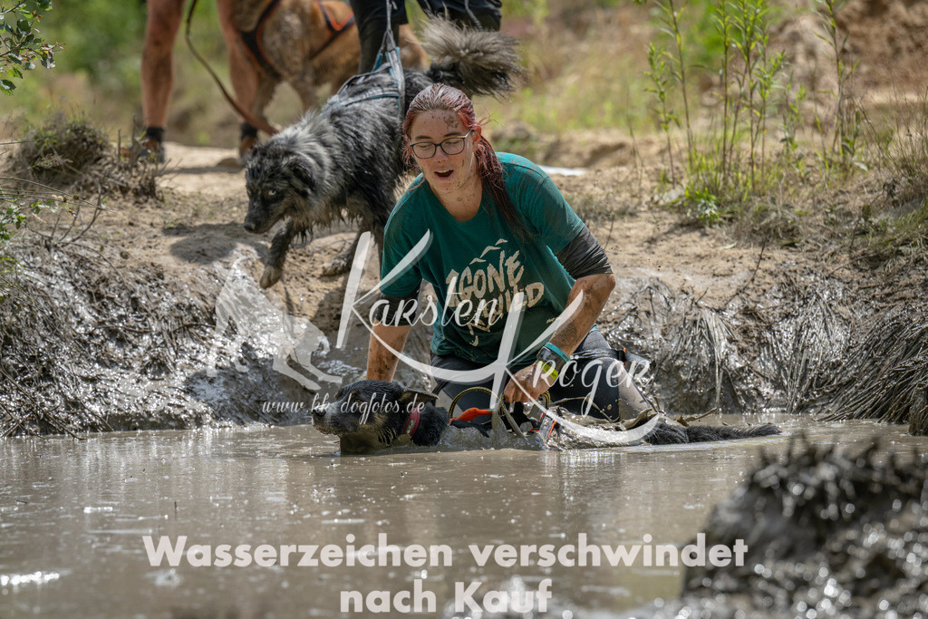 1436_ZZ93152 | kk-dogfotos