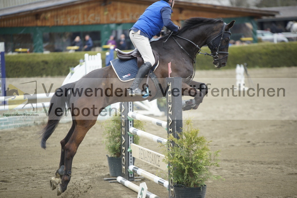_DSC7294 | equestrian-live-com