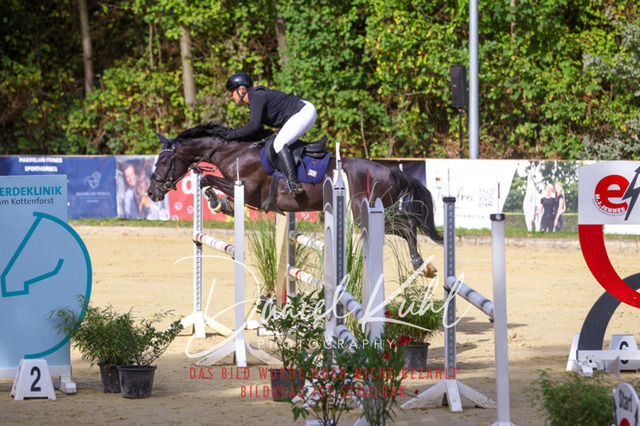 DKP42361 | Turniersportfotografie; Pferdefotografie; Dressurfotografie