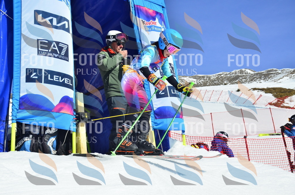 _ELE9908 | holidayphoto