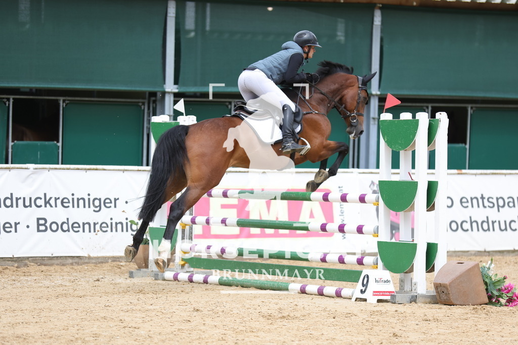 0P6A4271 | Willkommen bei Brunnmayr - Design & Fotografie – Ihrem Spezialisten für Reitturniere und Pferdeveranstaltungen in Oberösterreich, Salzburg und Bayern! Seit über 17 Jahren sind wir leidenschaftlich dabei.