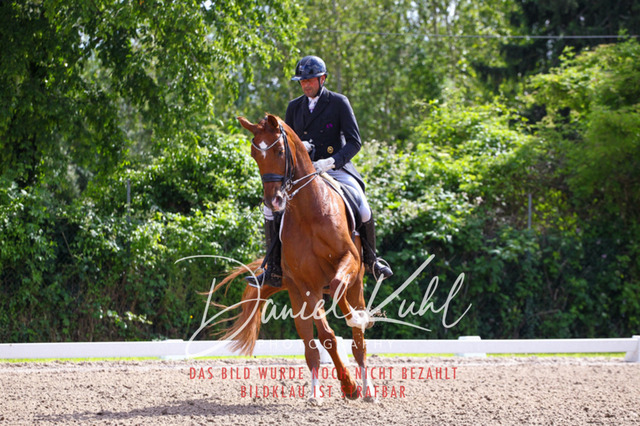 DKP41336 | Deine Turnierfotos vom Reitturnier online kaufen: Dressur, Springen & Siegerehrung. Professionelle Pferdefotografie aus dem Rheinland – als Download & Print.Alternative: Turnierfotograf für den Pferdesport: Finde deine Fotos von Dressur- und Springturnier