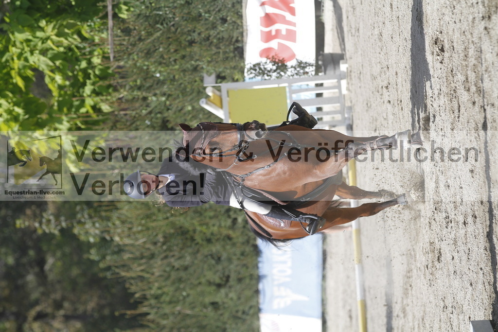 _MG_6157 | equestrian-live-com