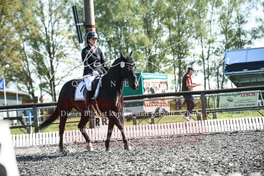 DSC_8610 | Pferde- und Turnierfotografie in Westsachsen. Pferdeportraits, Auftragszeichnungen und intuitive Kunst.