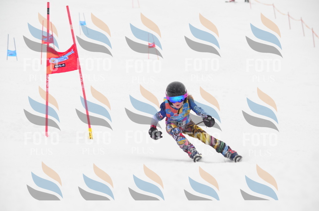 C0643 | holidayphoto