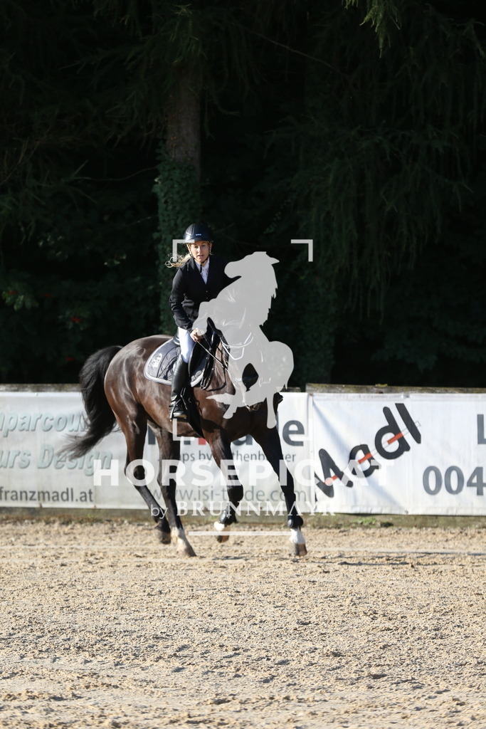 DL2Q7304 | Willkommen bei Brunnmayr - Design & Fotografie – Ihrem Spezialisten für Reitturniere und Pferdeveranstaltungen in Oberösterreich, Salzburg und Bayern! Seit über 17 Jahren sind wir leidenschaftlich dabei.