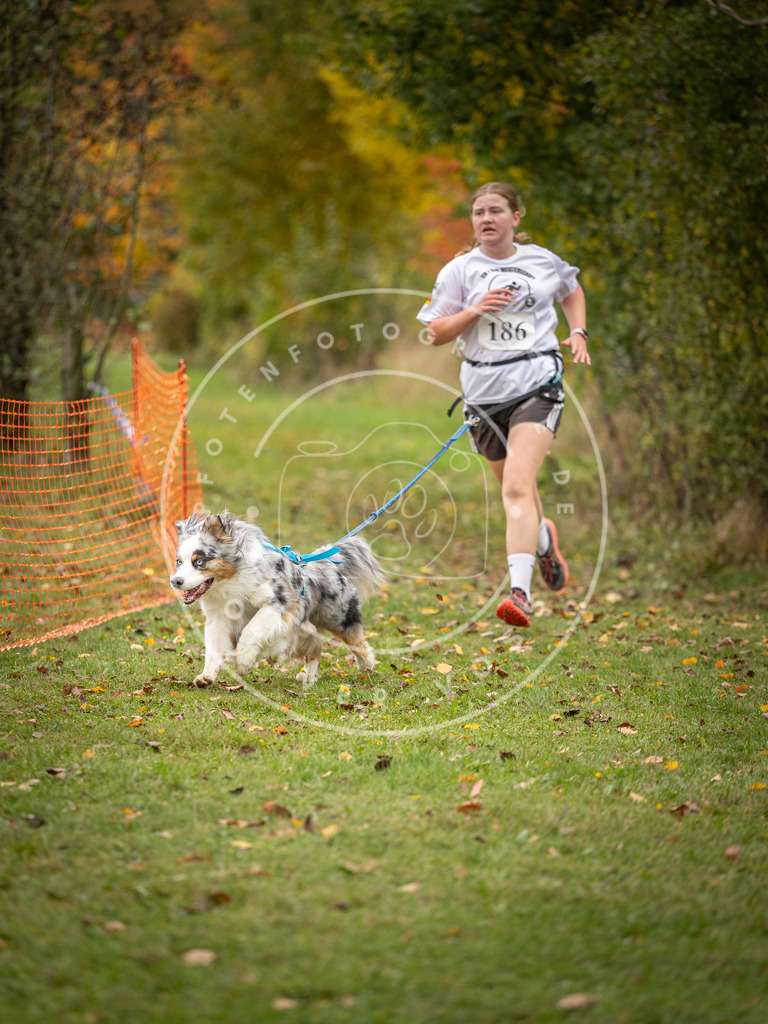 Pfotenfotografie_DV3A3677 | Hundefotografie, Tierfotograf, Pfotenfotografie, Fotoshooting Hund, Hunde Portrait, Hundesport, Hundeportraits, Heideshooting, Hunde, Sportfotograf, Hundefotograf, Turnierhundsport, THS,  - Realisiert mit Pictrs.com