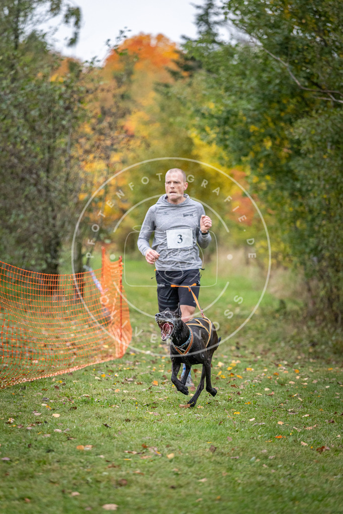 Pfotenfotografie_DV3A1614 | Hundefotografie, Tierfotograf, Pfotenfotografie, Fotoshooting Hund, Hunde Portrait, Hundesport, Hundeportraits, Heideshooting, Hunde, Sportfotograf, Hundefotograf, Turnierhundsport, THS,  - Realisiert mit Pictrs.com