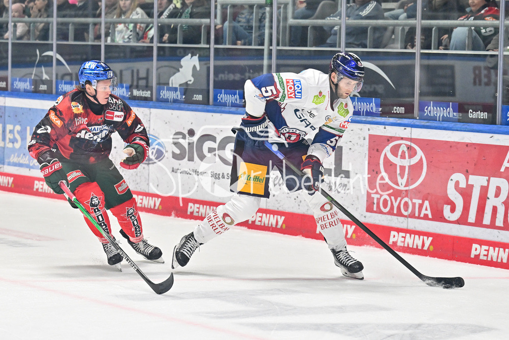 Augsburger Panther - Eisbären Berlin | im Duell Kristian BLUMENSCHEIN (Augsburger Panhter #8) und Mitchell REINKE (Eisbaeren Berlin #5) / Zweikampf / DEL: Augsburger Panther - Eisbaeren Berlin, Curt Frenzel Stadion am 31.10.2024