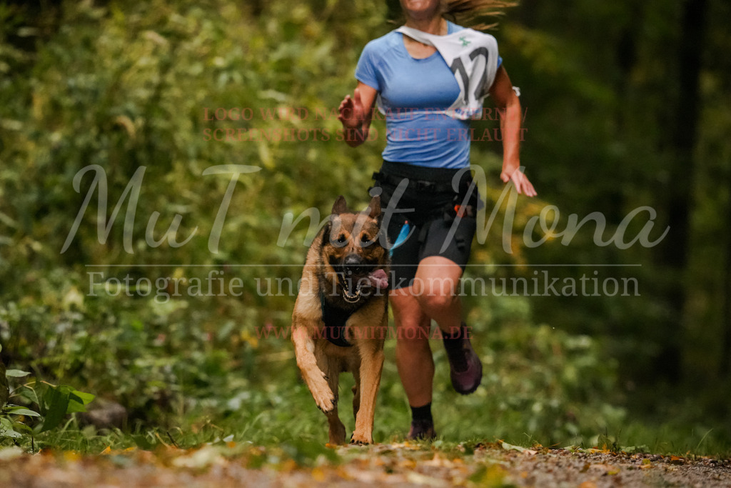 20251005_THS_Turnier-118 | MuT (Mensch und Tier) mit Mona - Fotografie und Tierkommunikation - Realisiert mit Pictrs.com