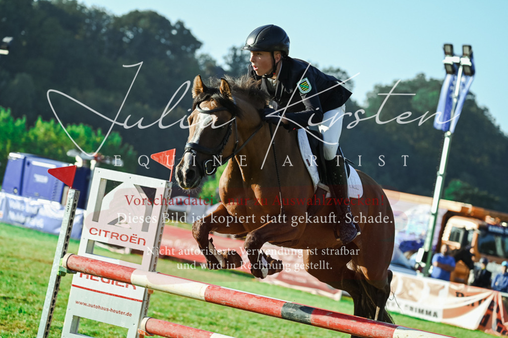 DSC_4134 | Pferde- und Turnierfotografie in Westsachsen. Pferdeportraits, Auftragszeichnungen und intuitive Kunst.