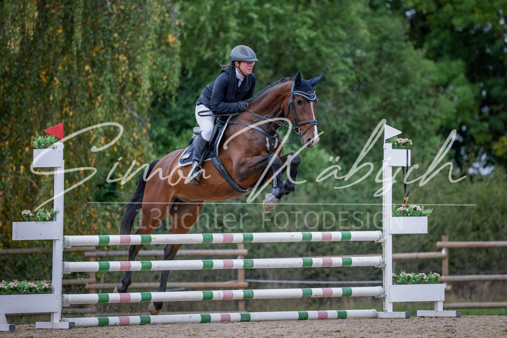 20251012-_3LI3634 | Tierfotografie Pferde, Hunde, Katzen, Haustiere.
Turnierfotografie Reitturniere, Reiten, Springreiten, Dressur in Hanau, dem Main-Kinzig-Kreis und dem Rhein-Main- Gebiet um Frankfurt