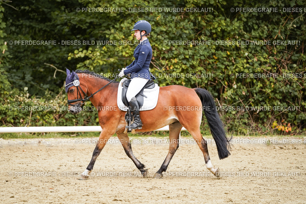 DSC00359 | Pferdegrafie