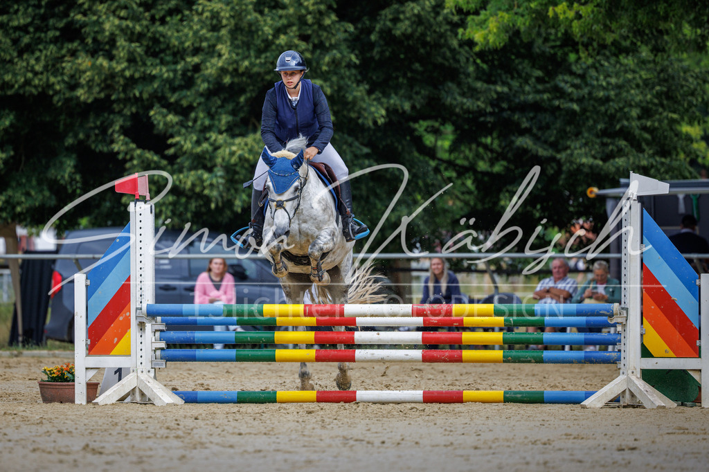 20260705-_3LI3849 | Tierfotografie Pferde, Hunde, Katzen, Haustiere.
Turnierfotografie Reitturniere, Reiten, Springreiten, Dressur in Hanau, dem Main-Kinzig-Kreis und dem Rhein-Main- Gebiet um Frankfurt