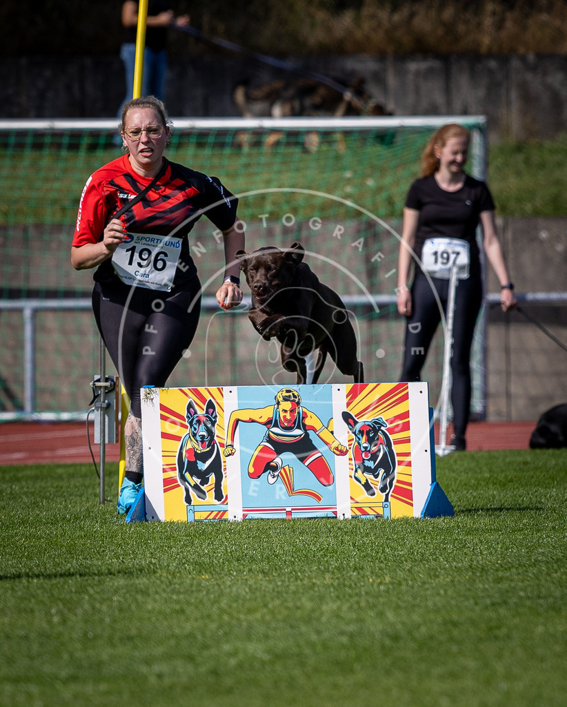 Pfotenfotografie_DV3A0765 | Hundefotografie, Tierfotograf, Pfotenfotografie, Fotoshooting Hund, Hunde Portrait, Hundesport, Hundeportraits, Heideshooting, Hunde, Sportfotograf, Hundefotograf, Turnierhundsport, THS,  - Realisiert mit Pictrs.com
