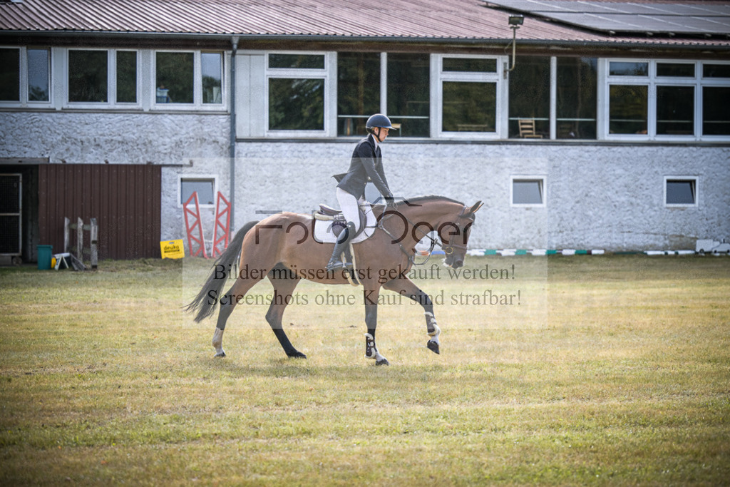 DOS_0571 | Entdecke hochwertige Reitturnierfotos von Foto Oger. Professionell, emotional und authentisch – jetzt Lieblingsmomente im Shop bestellen.Deutschlandweite Turnierfotografie. - Realisiert mit Pictrs.com