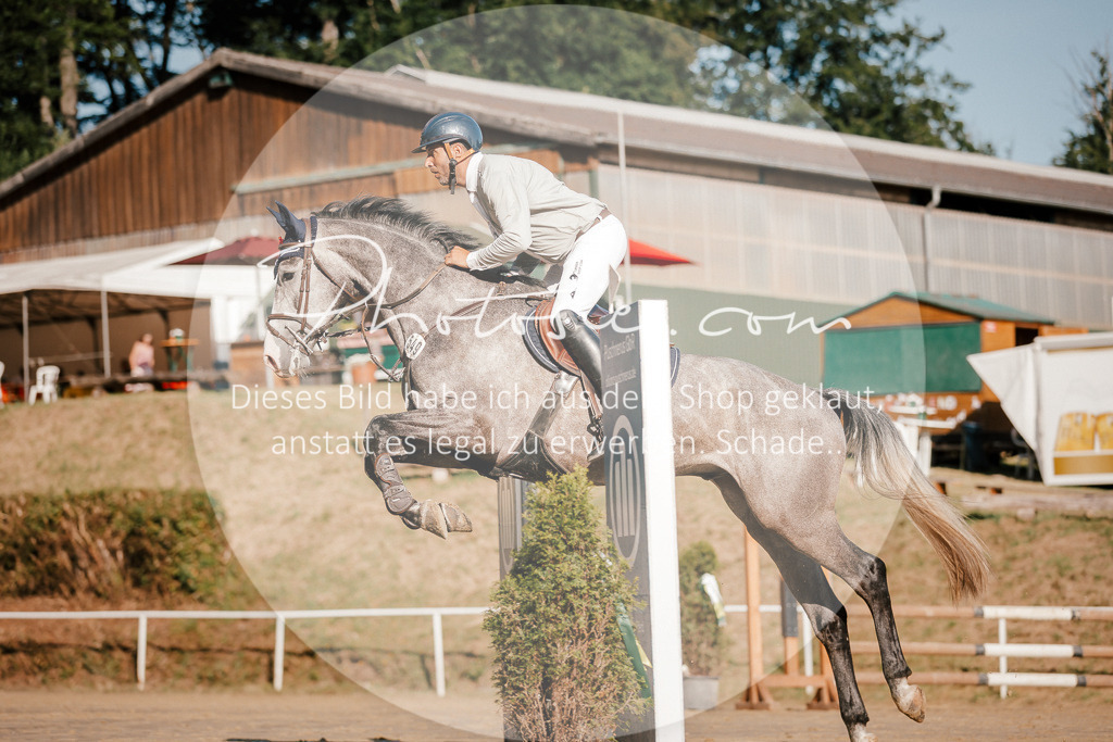 3I6A6309 | Stimmungsvolle Portraits und Reitsportfotografie im Ruhrgebiet und im Münsterland.

Pferdefotografie, Hundefotografie, Tierfotografie, Reportagen, Portraits von Tier und Mensch, Turnierfotografie in Bochum, Recklinghausen, Marl, Haltern am See, Dülmen.. - Realisiert mit Pictrs.com