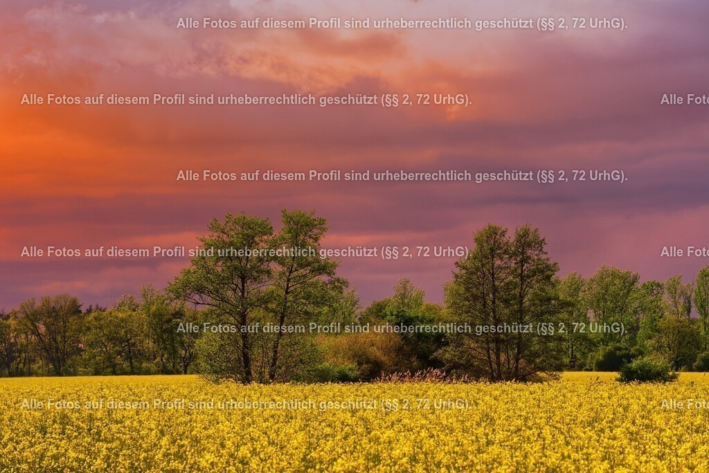 20240416153806_0C4A6777-01_2 | krollfotografie - Realisiert mit Pictrs.com