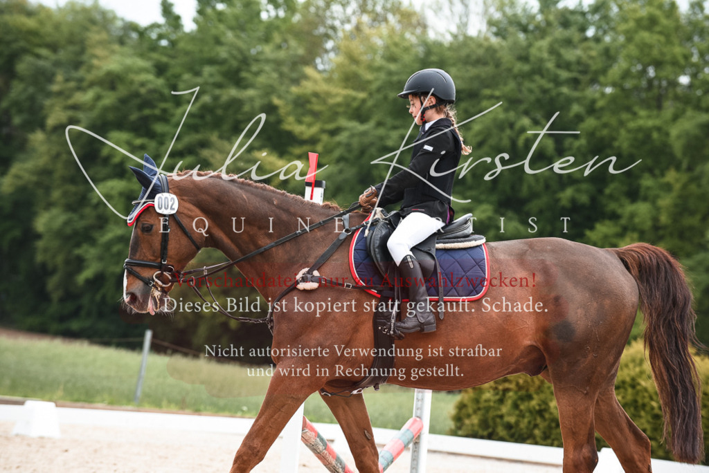 20230518_JK-Röhrsdorf-10-458 | Pferde- und Turnierfotografie in Westsachsen. Pferdeportraits, Auftragszeichnungen und intuitive Kunst.
