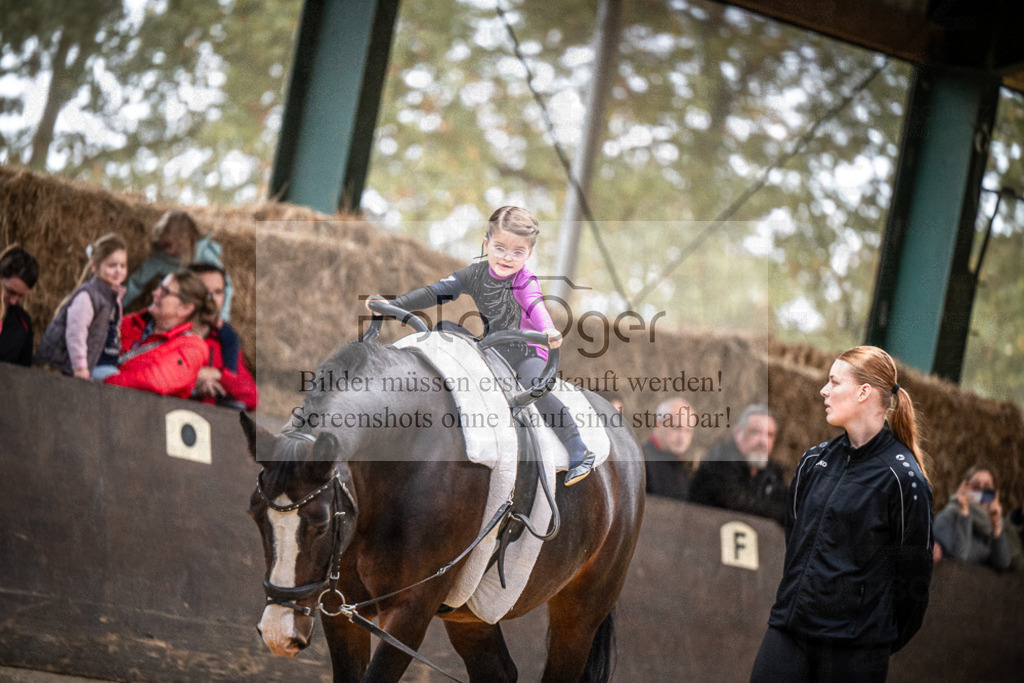 DOS_0212 | Entdecke hochwertige Reitturnierfotos von Foto Oger. Professionell, emotional und authentisch – jetzt Lieblingsmomente im Shop bestellen.Deutschlandweite Turnierfotografie. - Realisiert mit Pictrs.com