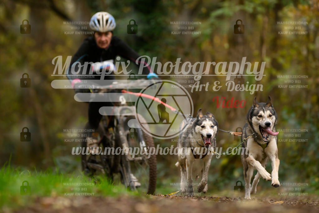 MompixPhotography_Bischwiller24_SA_VTT2-9 | PayLife