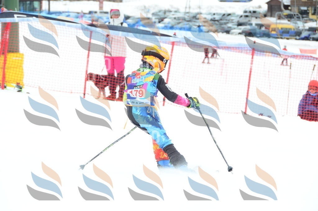 DSC_1677 | holidayphoto