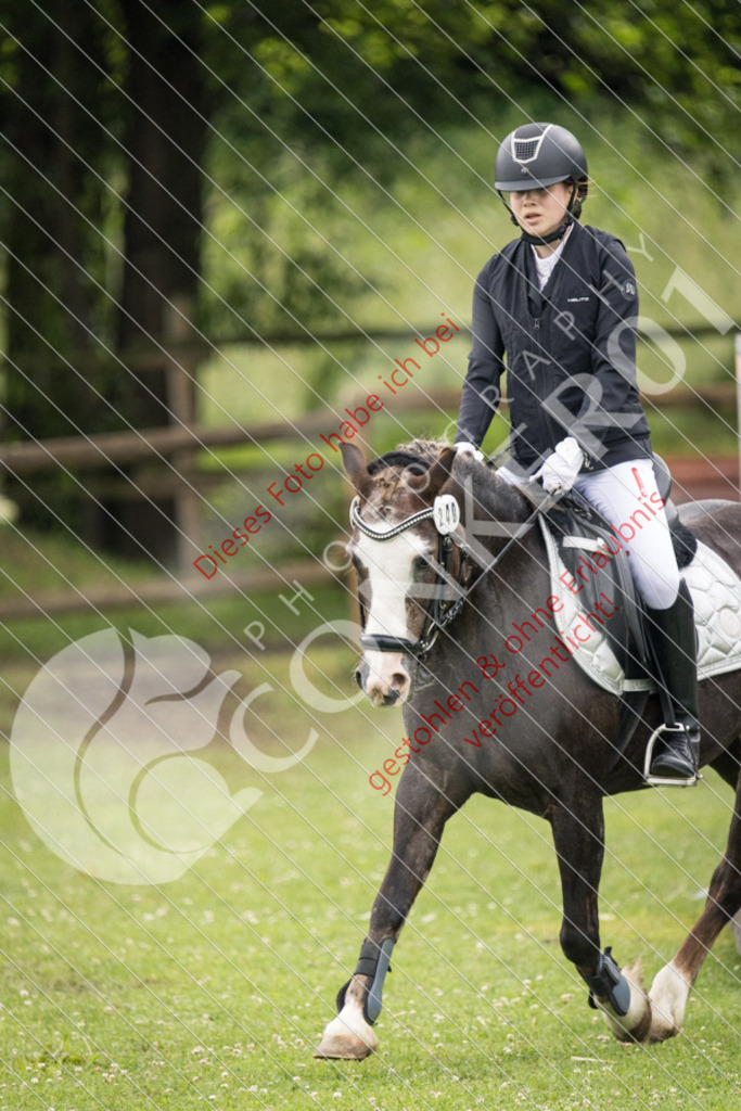 IMG_2735 | Sport-, Event- und Tierfotos in Profiqualität. Einfach auswählen, bestellen und herunterladen. Dein Moment – perfekt festgehalten.