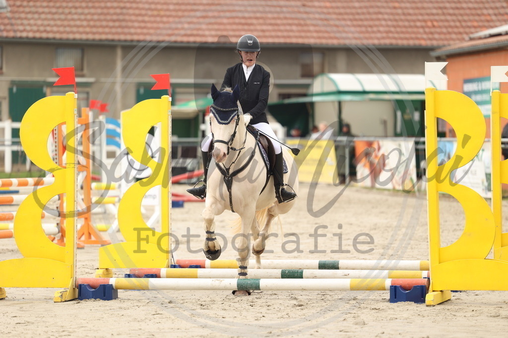 994A8437 | sabrinanicolaifotografie - Realisiert mit Pictrs.com