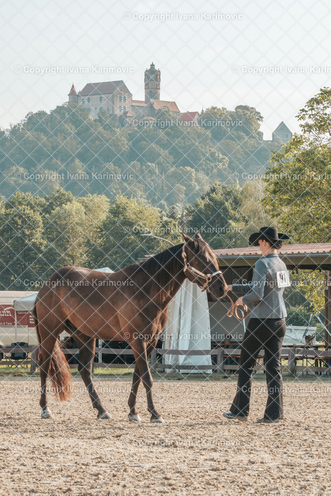 DSC02497 | ikphotography - Realisiert mit Pictrs.com