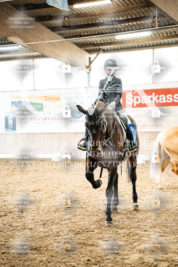 CK703100 | Turnierfotografie Pferdefotografie Trier Rheinland-Pfalz Pferdesport Reitsport Tierfotografie Sportfotografie Pferdevideo Pferdevideografie Equestrianvideography equestrianphotography  - Realisiert mit Pictrs.com