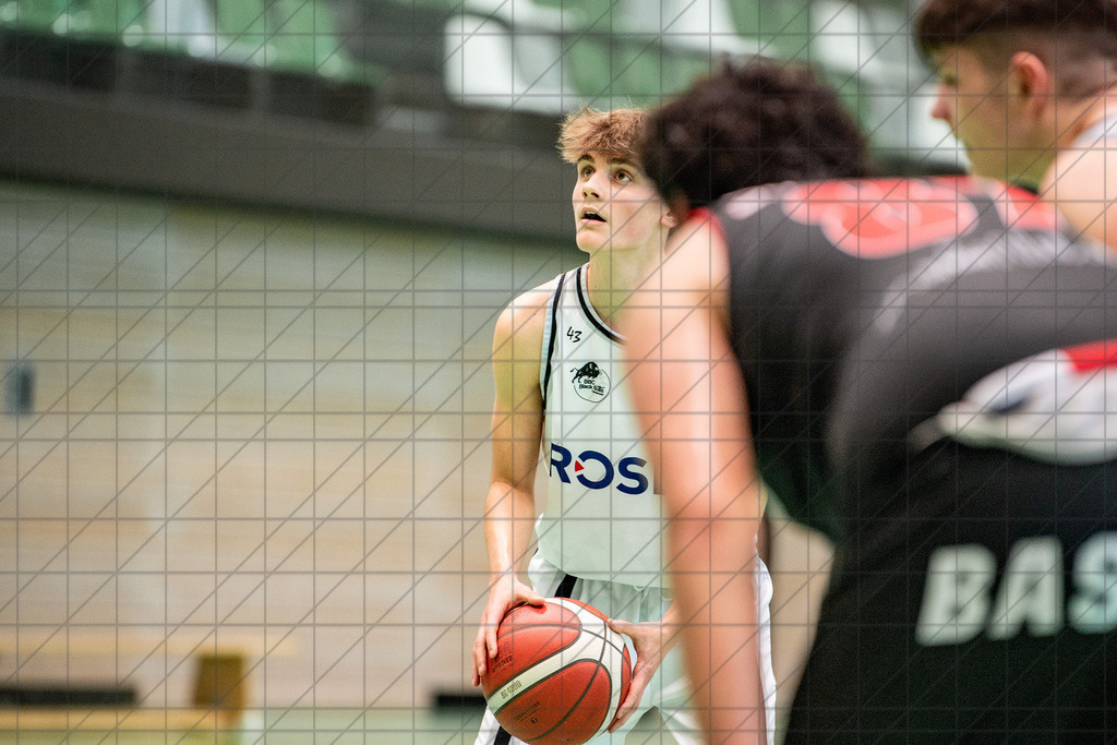 @Martin König_20240622__DSC1020 | bullenfotos|de - Realisiert mit Pictrs.com