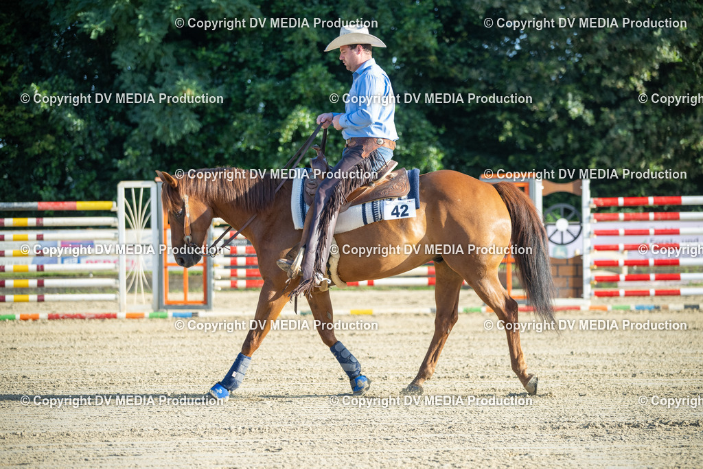 ZS1_0587 | dv-media-shop - Realisiert mit Pictrs.com