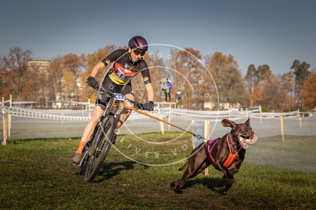 CaniXpix_0L8A4438 | Hundefotografie, Tierfotograf, Pfotenfotografie, Fotoshooting Hund, Hunde Portrait, Hundesport, Hundeportraits, Heideshooting, Hunde, Sportfotograf, Hundefotograf, Turnierhundsport, THS,  - Realisiert mit Pictrs.com