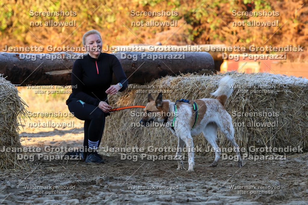 Dog Paparazzi - Strongdog 10-25-477 | Dog Paparazzi Jeanette Grottendiek Fotografie & Videografie - Realisiert mit Pictrs.com