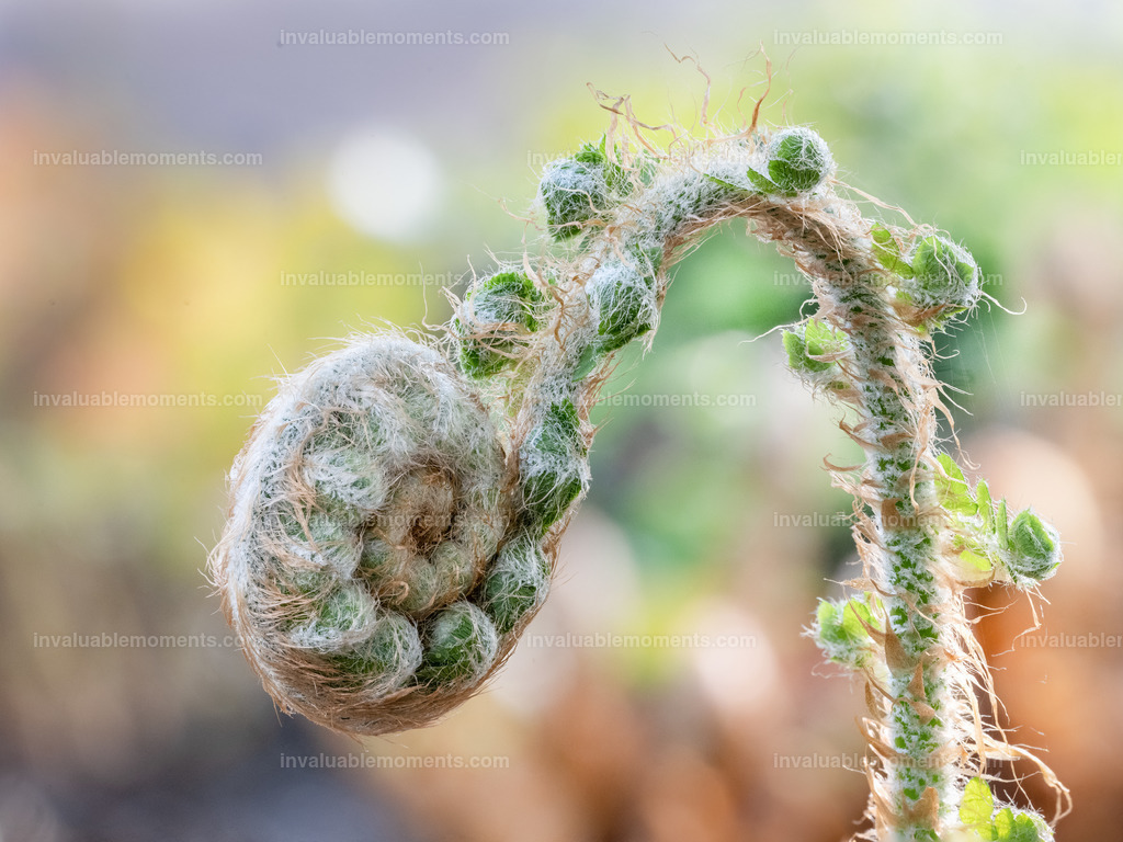 DSC_3013-Bearbeitet | invaluablemoments.com - Realisiert mit Pictrs.com