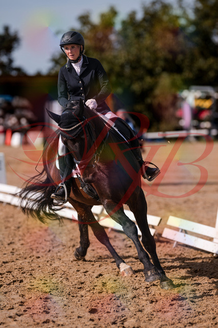 2026_10_03_Siefer-Hof_133829_Z81_96461787 | Professionelle Reitsport-, Turnier- und Eventfotografie von Robert Broda. Galerien mit ausgewählten und bearbeiteten Bildern direkt online ansehen und bestellen.