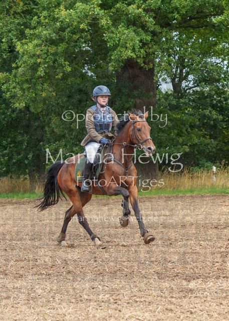 Jagd Perdoel_MarinaHewigMCH04374 | Fotografie, FotoArt, PferdesportArt, Pferdesportfotografie, Landschaftsfotografie, Reisefotografie, Reise, Pferde - Realisiert mit Pictrs.com