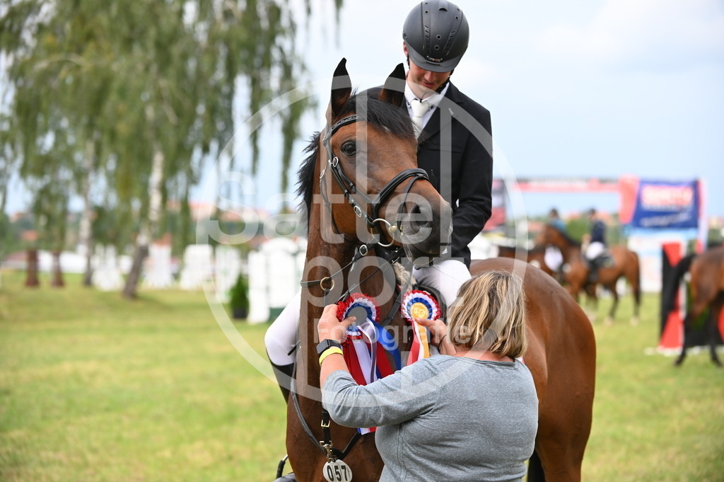 DSC_3534 | sattelsport - Realisiert mit Pictrs.com