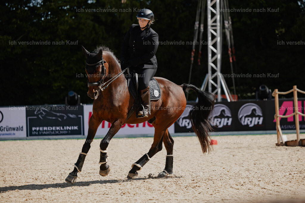 Lara_21_FHC2025-23 | working equitationturnier fotograf videograf stoibphotography marixx film working equitation deutschland reitsport turnierfotografie eventfotografie equestrian events